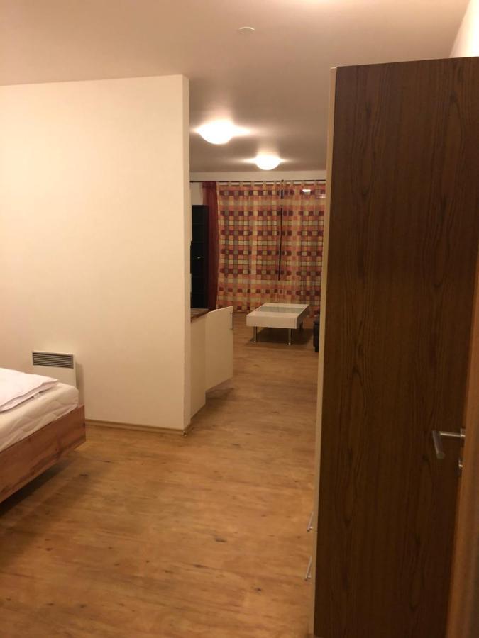L&B Lake View Modern Apartment Lipno nad Vltavou Dış mekan fotoğraf