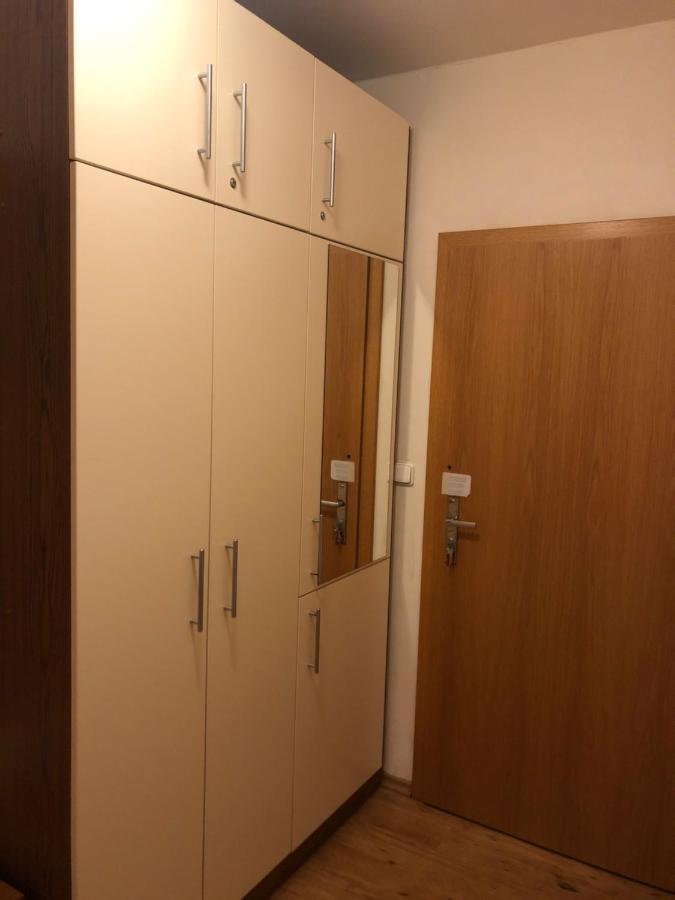 L&B Lake View Modern Apartment Lipno nad Vltavou Dış mekan fotoğraf