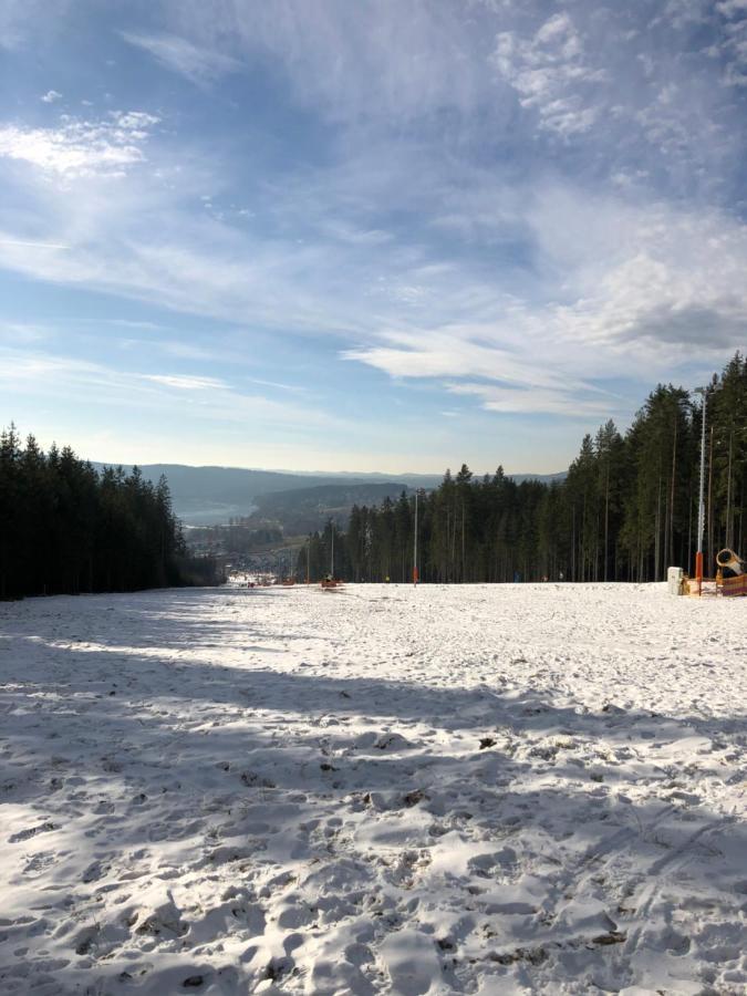 L&B Lake View Modern Apartment Lipno nad Vltavou Dış mekan fotoğraf