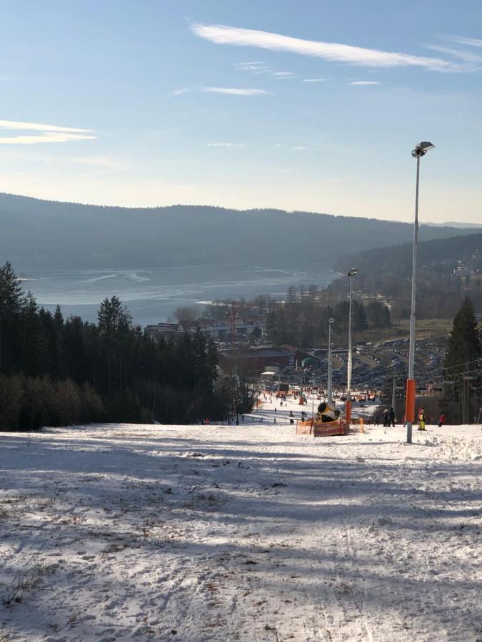 L&B Lake View Modern Apartment Lipno nad Vltavou Dış mekan fotoğraf