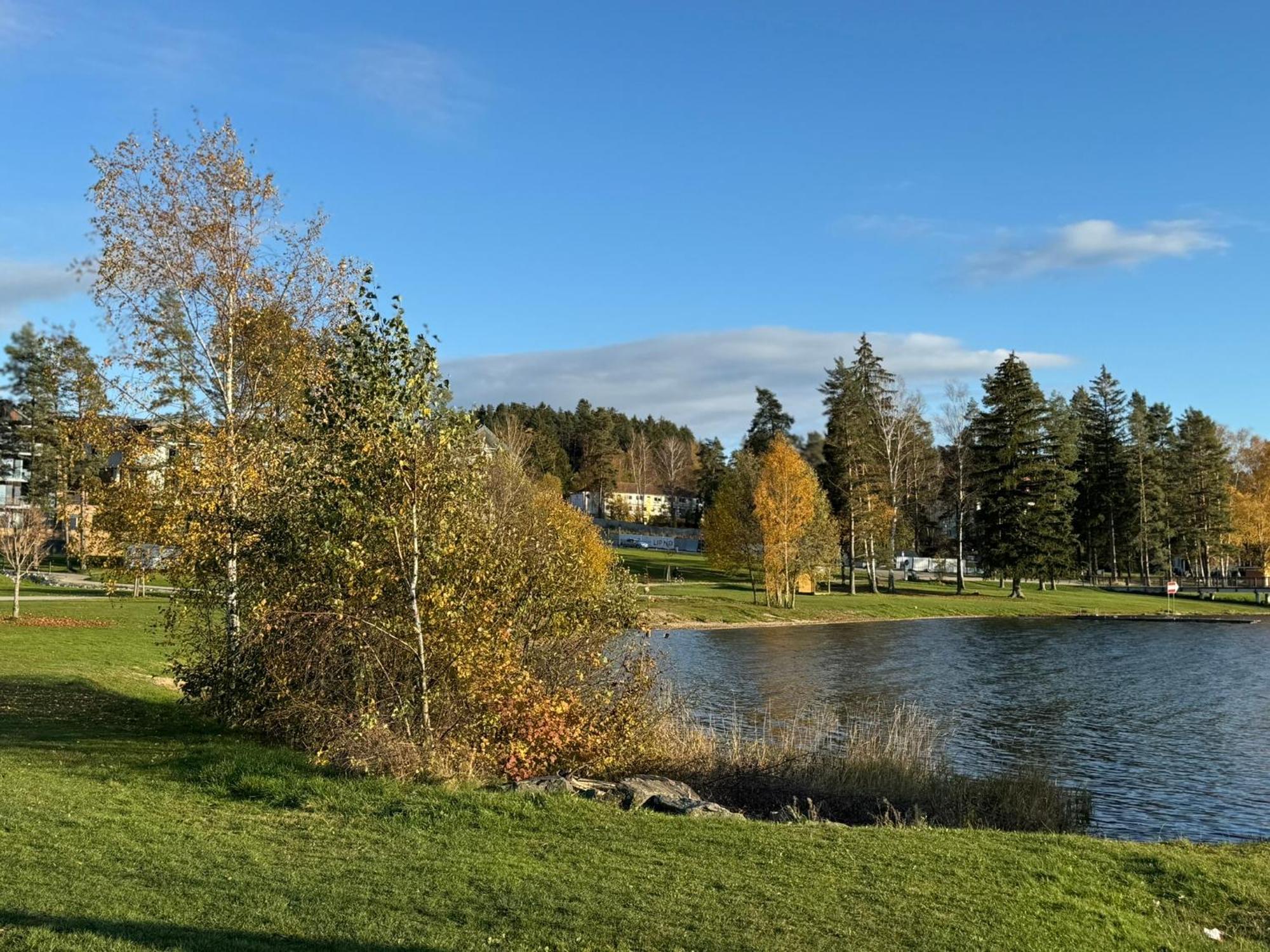 L&B Lake View Modern Apartment Lipno nad Vltavou Dış mekan fotoğraf